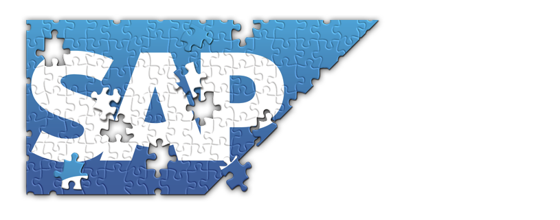 https://www.ixolve.com.ar/wp-content/uploads/2012/11/sliderSAP-815x320.png